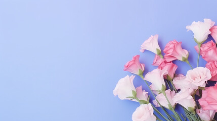 Naklejka na ściany i meble Flower composition of eutomer on pink blue background