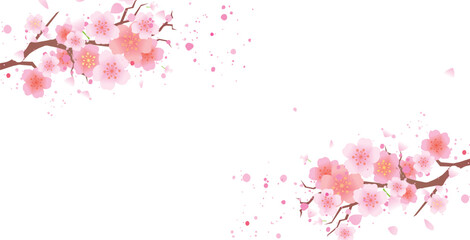 Obraz na płótnie Canvas 春の桜の花びら背景