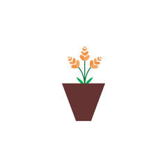 plants with brown flower pots garden