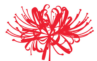 higanbana or red spider lily flat silhouette illustration 