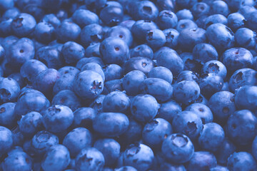 Fresh blueberry background. Texture blueberry berries close up.