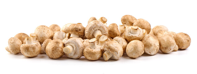 Champignons, close-up, isolated on white background.