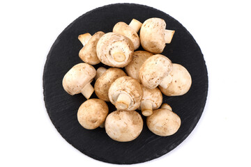 Champignons, close-up, isolated on white background.
