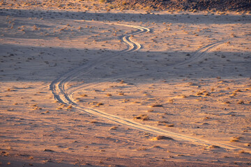 Car trails in the sand of Wadi Rum Desert at sunrise