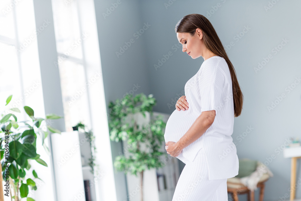 Sticker Profile side photo of beautiful mommy pregnant girl waiting for her firstborn newborn baby touching big tummy flat indoors