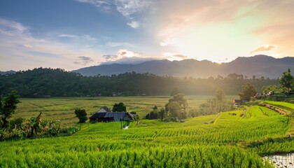 Asian scenery when the morning sun is beautiful over the mountains and green rice fields in the village