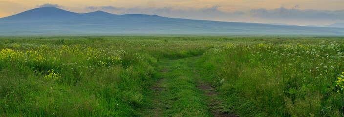Landscape