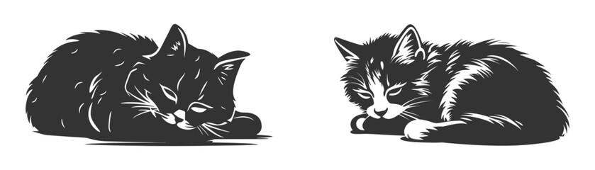 Fototapeta premium Detailed cat sleeping silhouette. Vector illustration