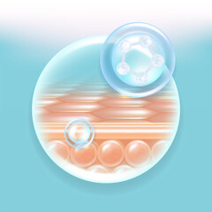 Hyaluronic acid hair and skin solutions ad, blue collagen serum drops into skin cells with cosmetic advertising background ready to use, illustration vector.	