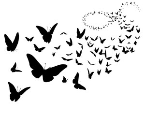 set of butterflies silhouettes