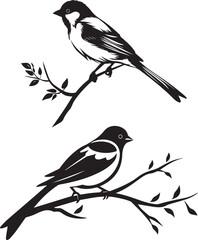 Sparrow birds tree on the branch silhouette on white background 