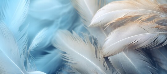 a background of grey and celestial bird feathers. close-up