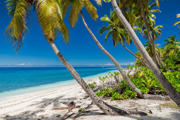 Luxury beach on Maldives island. Tropical banner with blue ocean
