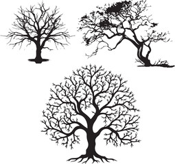 Set of Trees on white background 