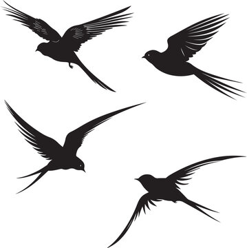 Set of Swallow flying silhouette on white background 