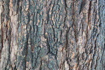 Photos from various things