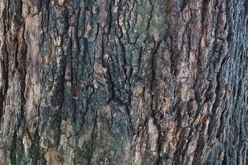 Photos from various things