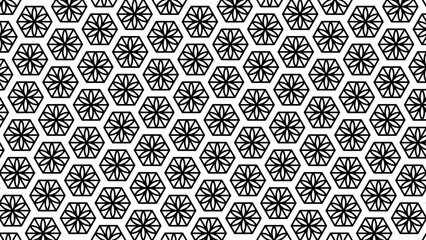 abstract colorful background wallpaper for HD 2D vector line banner and ad template black and white trending 2024 hexagons and leaves