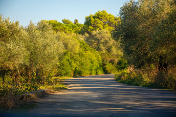 Road and Outdoor Natural Landscape. asphalt road in Corfu island, Greece. Wide angle lens shot....