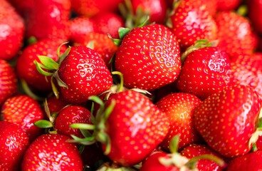 Ripe strawberries. Natural background. Close up. Selective focus.