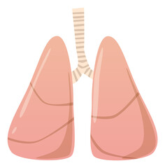 Lungs cartoon icon. Respiratory system color symbol