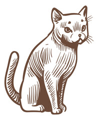 Cat engraving. Sitting kitten sketch. Funny pet