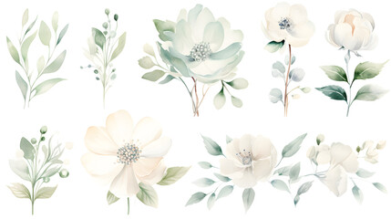 Watercolor drawing, set of white flowers and green eucalyptus leaves - obrazy, fototapety, plakaty