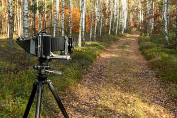 Large format view camera on a tripod standing on a forest road with filter holder attached to the...