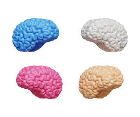 Set of 3D brain icon. Human brain, cerebrum icon. Symbol of knowledge, learning and education concept. 3d illustration