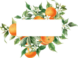Orange fruit border frame. Watercolor illustration isolated on transparent background. Blossom orange branch for labels, prints, banners, citrus wedding invitation. Healthy food design elements
