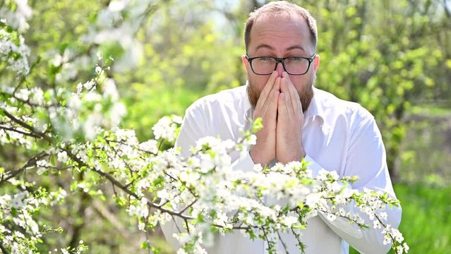 Man allergic sneezing from seasonal allergy at spring in blossoming garden at springtime. Young bearded man with glasses suffering in front of blooming tree. Spring allergy concept