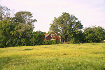 Red Swedish house surrounded by trees. In front of it a large meadow with grass