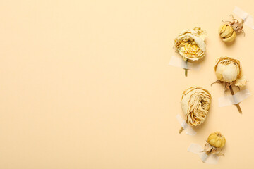 Dried buds of white roses on beige background, space for text