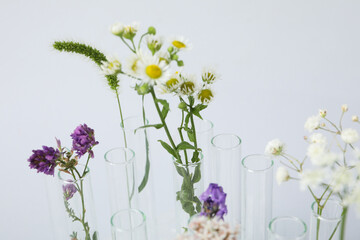 Test tubes and flowers, Herbal medicine, concept of herbal medicine research
