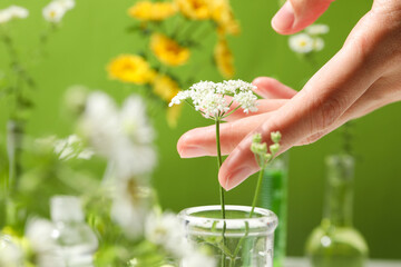 Test tubes and flowers, Herbal medicine, concept of herbal medicine research