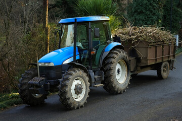 Blue new tractor. with full trailer saw down tree branches. Holland . Botanical garden. BATUMI, GEORGIA