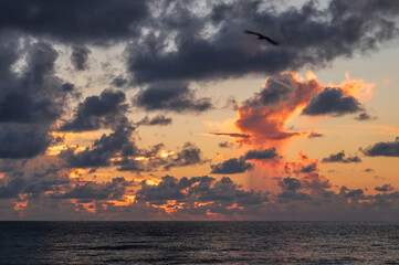 A view of the sunrise over the ocean off Miami Beach, south Florida. Tropical clouds fill the sky, and a small rainstorm can be seen on the horizon.