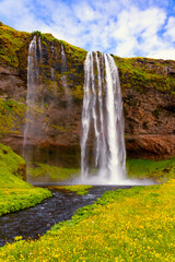Majestic and famous waterfall “Seljalandsfoss“ falling from a volcanic rim in Iceland. ...