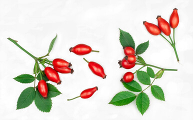 Rose hip isolated on a white background, top view