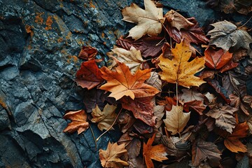 Colorful Cascades: A Pile of Arranged Yellow-Orange Dry Leaves