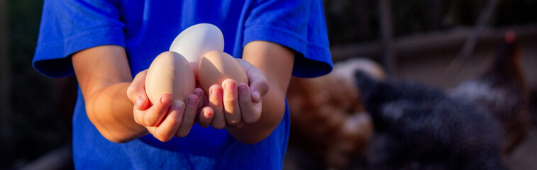 Close-up of little farmer boy showing fresh eggs laid by organically raised chickens in barn on farm