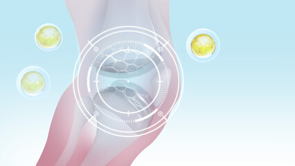 Orthopedic and bone treatment services Add collagen to knee joints 3d Rendering_EP3