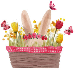 Easter basket with flowers and rabbit's ears. PNG transparent digitally hand painted illustration