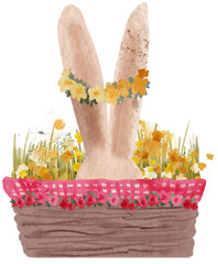 Easter basket with flowers and rabbit's ears. PNG transparent digitally hand painted illustration
