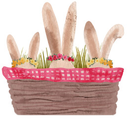 Easter basket with flowers and rabbit's ears. PNG transparent digitally hand painted illustration