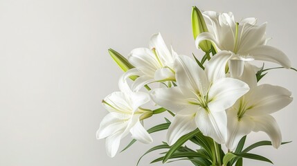 White Lilies on Pastel Background. Easter Serenity. Christian symbolism.