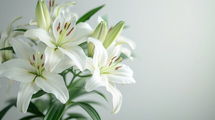 Fototapeta na wymiar White Lilies on Pastel Background. Easter Serenity. Christian symbolism.