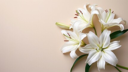 Fototapeta na wymiar White Lilies on Pastel Background. Easter Serenity. Christian symbolism.