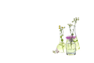 PNG, Test tubes with flowers, isolated on white background