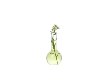 PNG, Test tube with flowers, isolated on white background